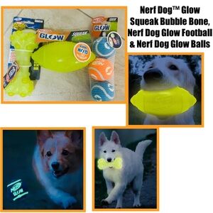 Nerf Dog™ Glow Squeak Bubble Bone, Nerf Dog Glow Football & Nerf Dog Glow Balls